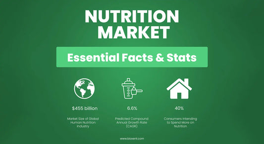 SCOPE OF NUTRACEUTICALS IN INDIA