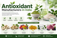 Antioxidant Manufacturers in India