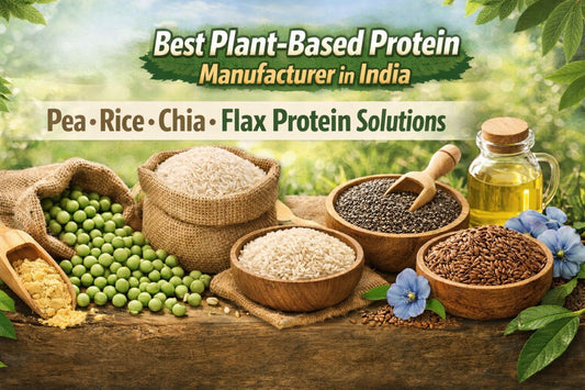 Best Plant-Based Protein Manufacturer in India