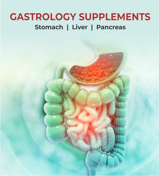 Gastrology supplement manufacturer India