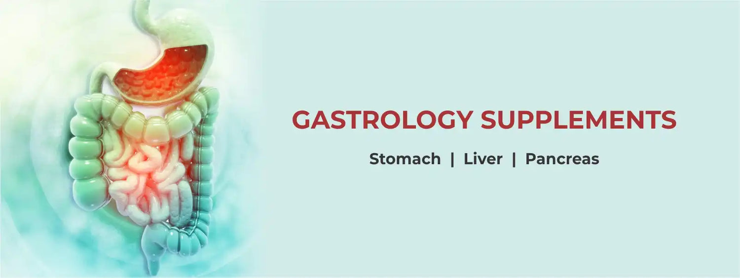 Gastrology supplement manufacturer India
