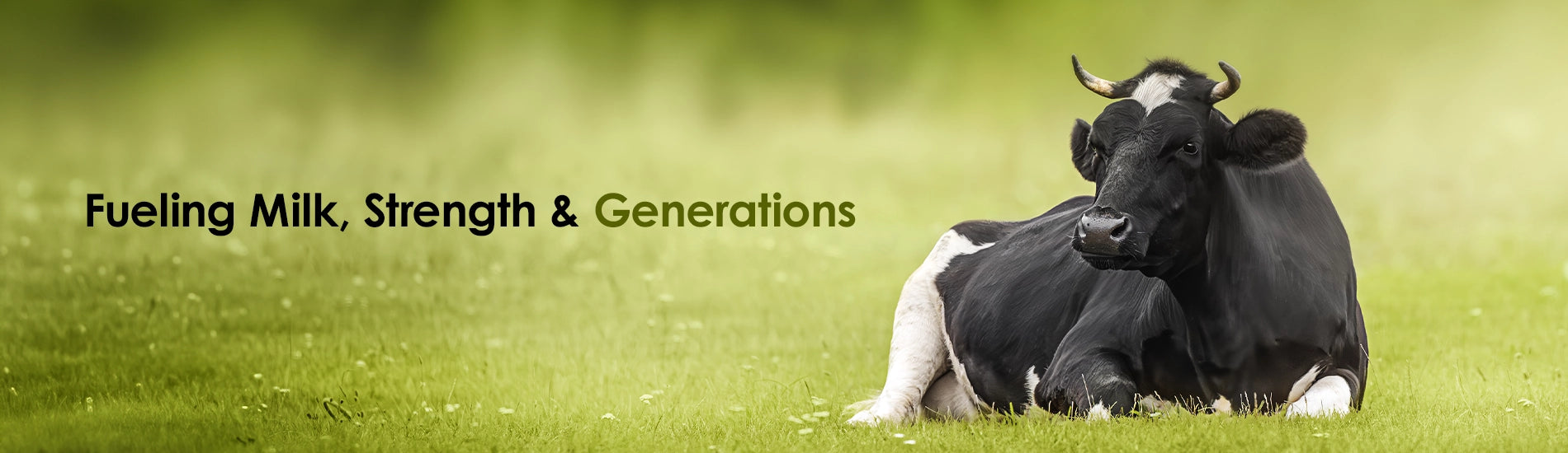 Best cattle supplements in India