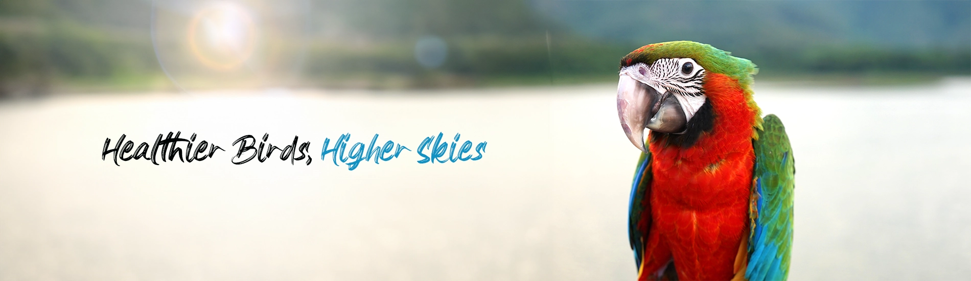 "Premium Animal nutrition supplements manufacturer in India